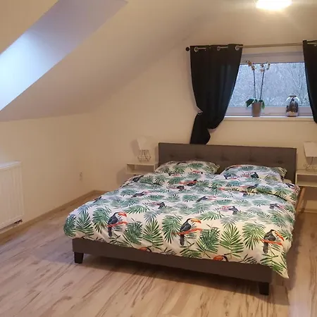 Apartamenty - Pod Wierzbami Dwikozy Zewnętrze zdjęcie