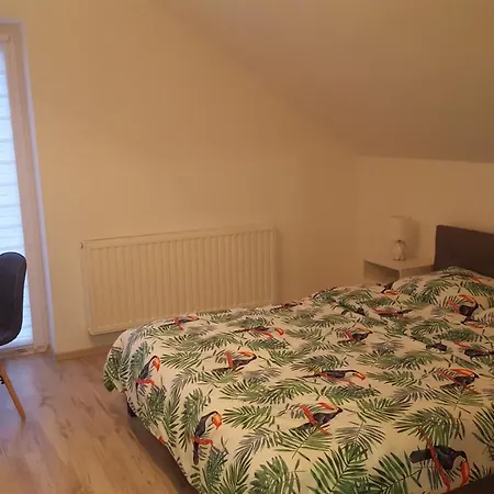 Apartamenty - Pod Wierzbami Dwikozy Zewnętrze zdjęcie