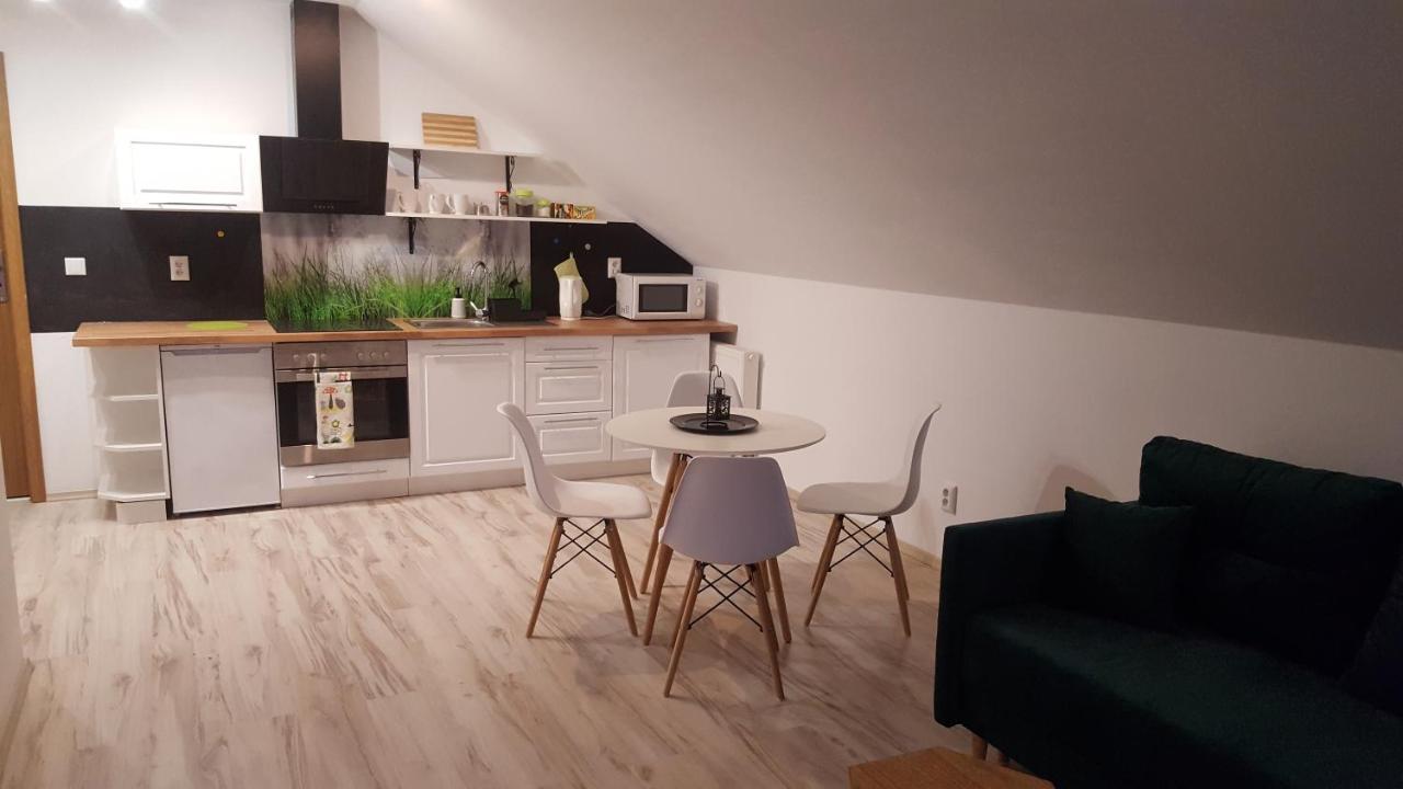 - Pod Wierzbami Apartment Dwikozy