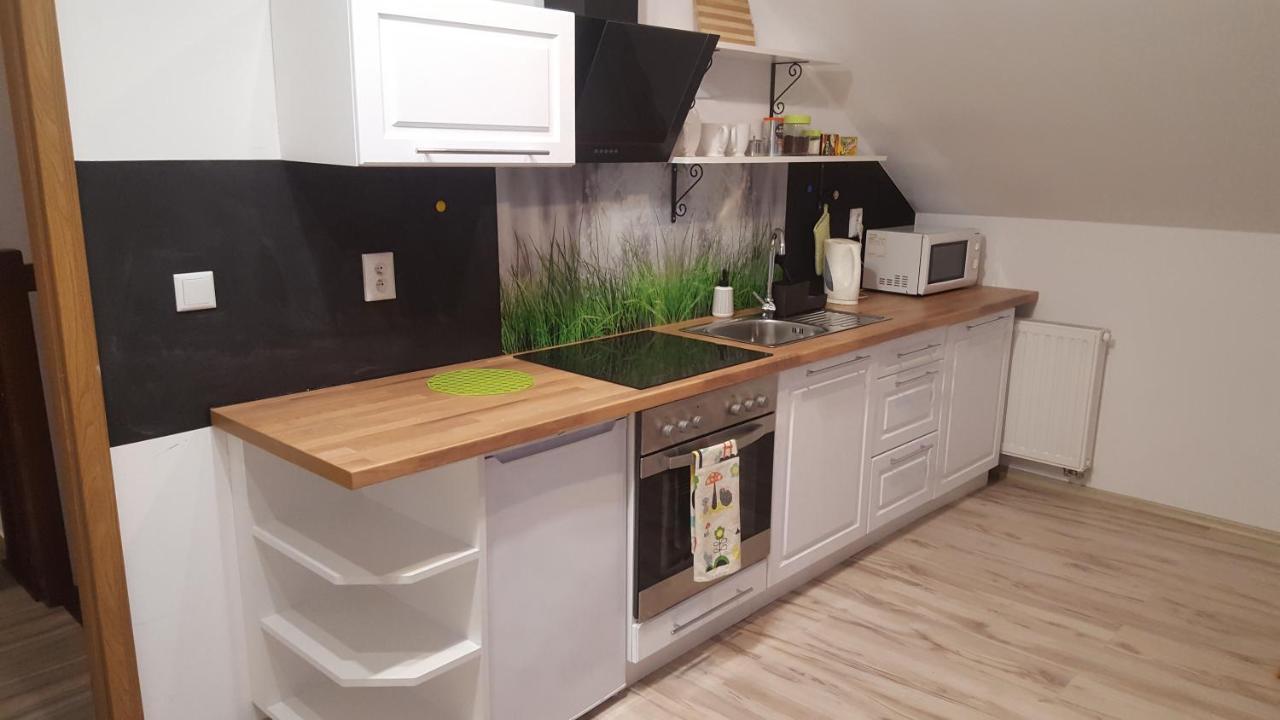 - Pod Wierzbami Apartment *
