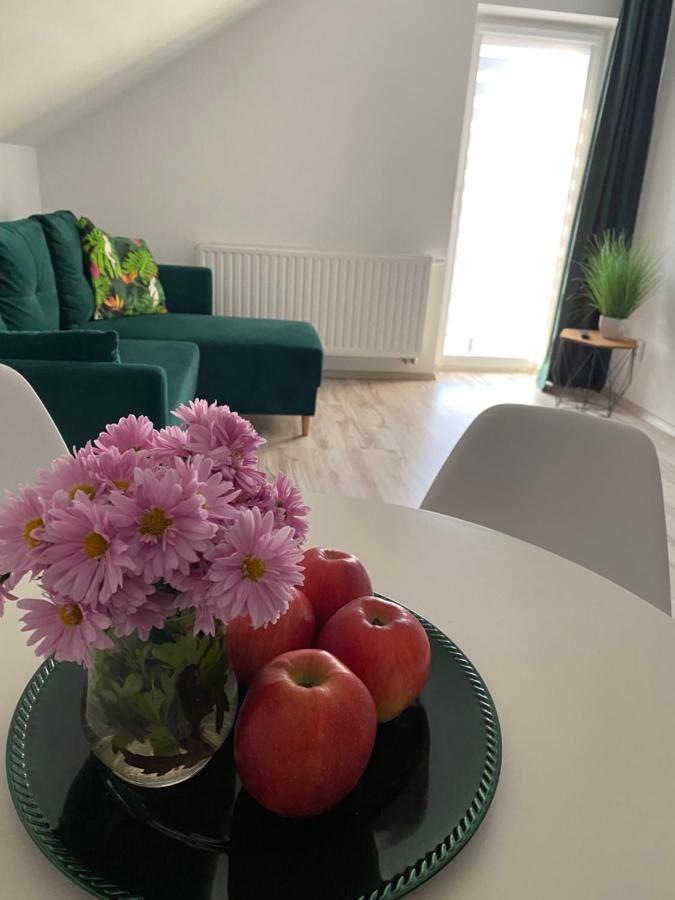 - Pod Wierzbami Apartment Dwikozy