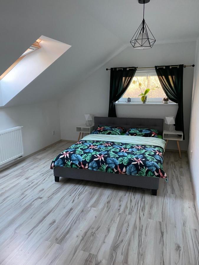 - Pod Wierzbami Apartment Dwikozy